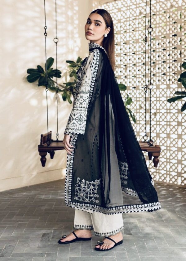 Elegant Women stitched suit - Embroidered cotton Fabric 3 pcs set